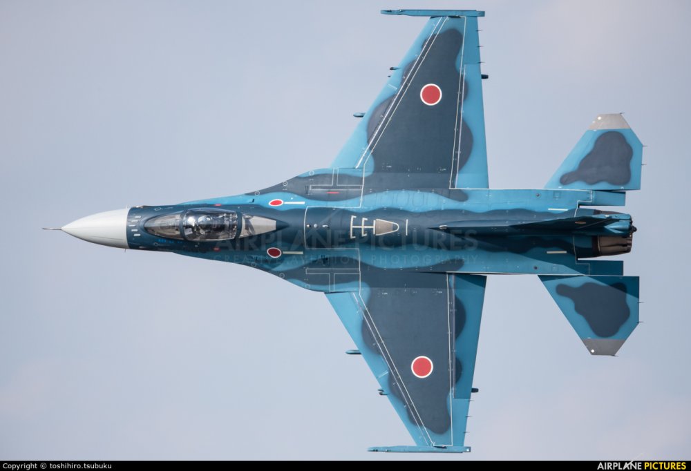 Mitsubishi F-2A © Enrico Bianchi - Click to magnify/shrink Mitsubishi F-2A, Kit Hasegawa, scala 1/48